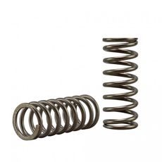 Clutch spring kit EBC CSK276