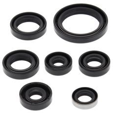 Engine Oil Seal Kit WINDEROSA 822323