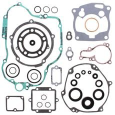 Complete Gasket Kit with Oil Seals WINDEROSA 811424