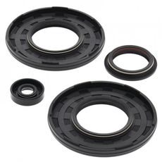 Engine Oil Seal Kit WINDEROSA 55206