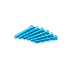 Screws PUIG ANODIZED 0540A moder M8 x 55mm (6pcs)