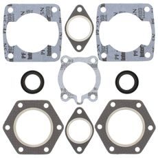 Complete Gasket Kit with Oil Seals WINDEROSA 711075A