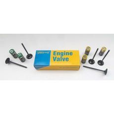 Steel exhaust valve kit AOKI 31.3408-1 with springs (2 pcs)