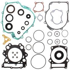 Complete Gasket Kit with Oil Seals WINDEROSA 811865
