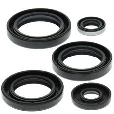 Engine Oil Seal Kit WINDEROSA 822213