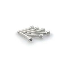 Screws PUIG ANODIZED 0258P srebrna M6 x 30mm (6pcs)