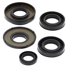 Engine Oil Seal Kit WINDEROSA 822231