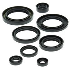 Engine Oil Seal Kit WINDEROSA 822149