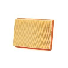 Zračni filter CHAMPION CAF9001 100606165