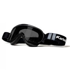 Goggles ARIETE WABI 14980-LNGG light sensitive lens Črna/Siva