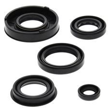 Engine Oil Seal Kit WINDEROSA 822217