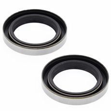Engine Oil Seal Kit WINDEROSA 55130