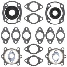 Complete Gasket Kit with Oil Seals WINDEROSA 711063B