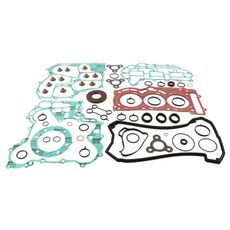 Complete Gasket Kit with Oil Seals WINDEROSA 711324