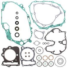 Complete Gasket Kit with Oil Seals WINDEROSA 811829