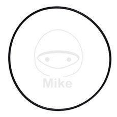 Cylinder base gasket ATHENA M752009300074 O-Ring 2X93 mm