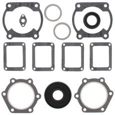 Complete Gasket Kit with Oil Seals WINDEROSA 711147D