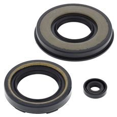 Engine Oil Seal Kit WINDEROSA 55175