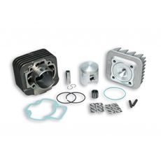 Cilinder kit Malossi Ø 47 pin Ø 12 H2O 316926