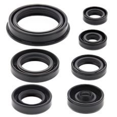 Engine Oil Seal Kit WINDEROSA 822690