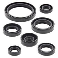 Engine Oil Seal Kit WINDEROSA 822692