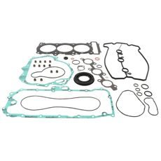 Complete Gasket Kit with Oil Seals WINDEROSA 711319A