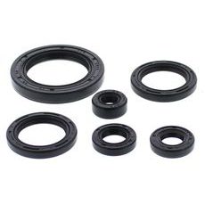 Engine Oil Seal Kit WINDEROSA 822978