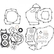 Complete gasket kit WINDEROSA 8110032 with seals