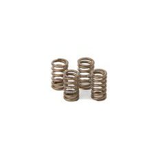 Valve spring kit HOT CAMS VSK2006