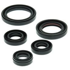 Engine Oil Seal Kit WINDEROSA 822263