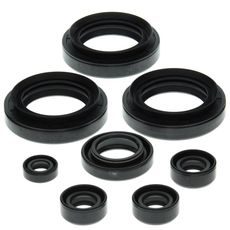 Engine Oil Seal Kit WINDEROSA 822152