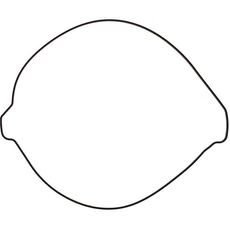 Tesnilo sklopke (Clutch cover gasket) WINDEROSA 816843 inner side