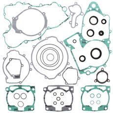 Complete Gasket Kit with Oil Seals WINDEROSA 811307