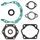 Complete Gasket Kit with Oil Seals WINDEROSA 711011A