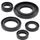 Engine Oil Seal Kit WINDEROSA 822240