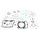 Complete Gasket Kit with Oil Seals WINDEROSA 811367