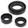 Engine Oil Seal Kit WINDEROSA 822254