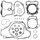 Complete Gasket Kit with Oil Seals WINDEROSA 811675