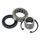 HD Inner Primary Bearing Kit All Balls Racing 25-3103