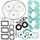 Complete Gasket Kit with Oil Seals WINDEROSA 711213