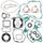 Complete Gasket Kit with Oil Seals WINDEROSA 811233