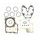 TOPEND set tesnil za motor ATHENA P400210600199