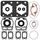 Complete Gasket Kit with Oil Seals WINDEROSA 711177