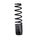 Shock spring BITUBO