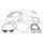 Complete Gasket Kit with Oil Seals WINDEROSA 811983