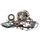 Bottom end kit HOT RODS CBK0170