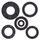 Engine Oil Seal Kit WINDEROSA 822251