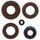 Engine Oil Seal Kit WINDEROSA 822128