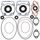 Complete Gasket Kit with Oil Seals WINDEROSA 711163B