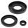 Engine Oil Seal Kit WINDEROSA 55111